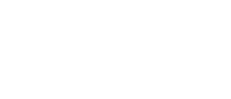Meta